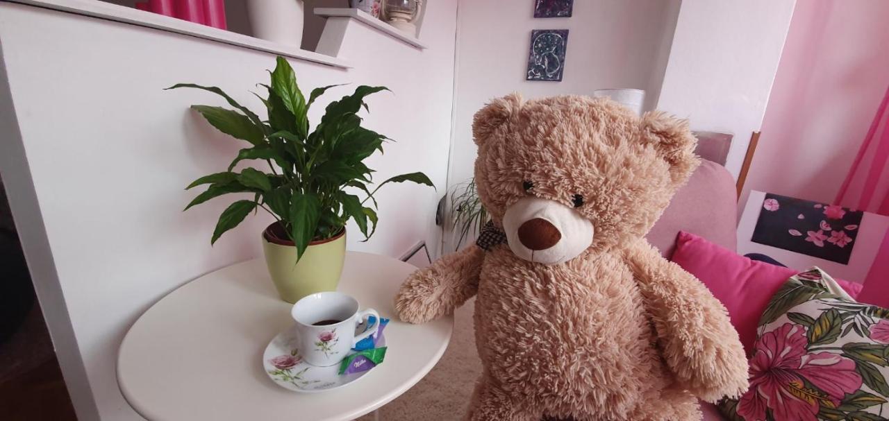 Apartmán Daisy Pula Exteriér fotografie